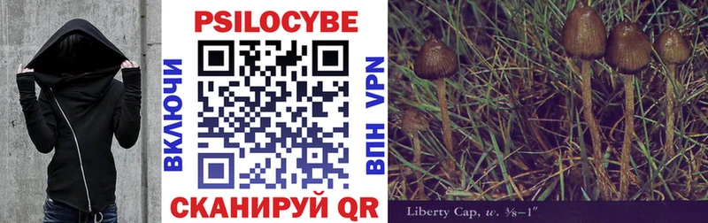 Псилоцибиновые грибы Psilocybe  hydra ТОР  Углич 